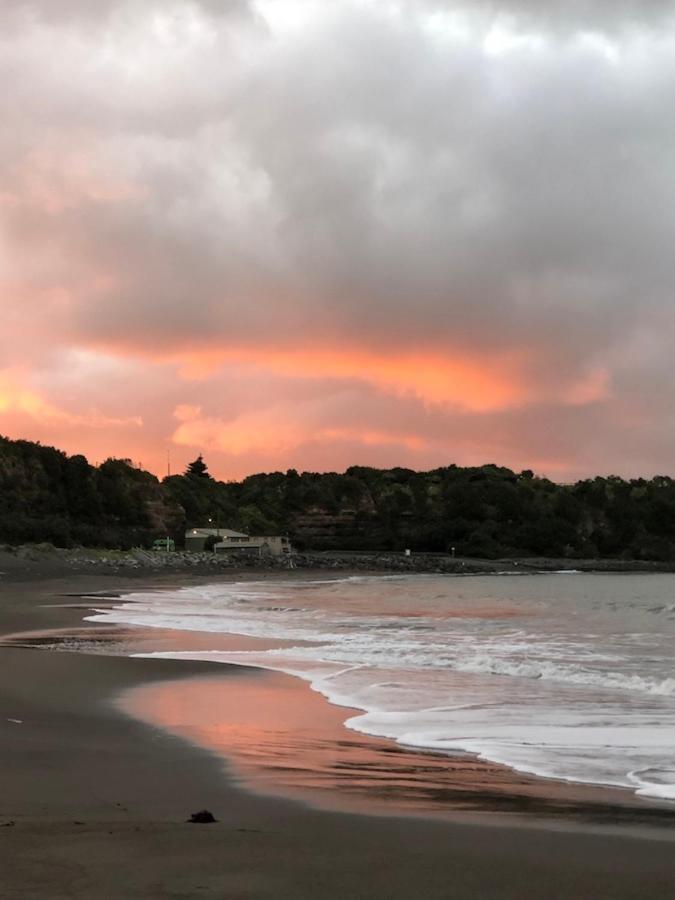 @Taradise-Opunake - Eco-Friendly Coastal Hideaway Esterno foto